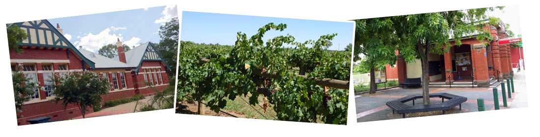 Rutherglen Wine Region North East Victoria